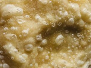 Foodies - tipuris