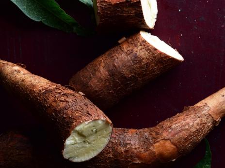 Foodies - manioc