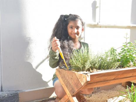 Foodies - anou plante