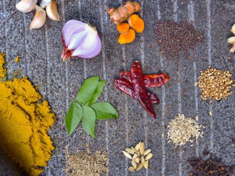Foodies - masala